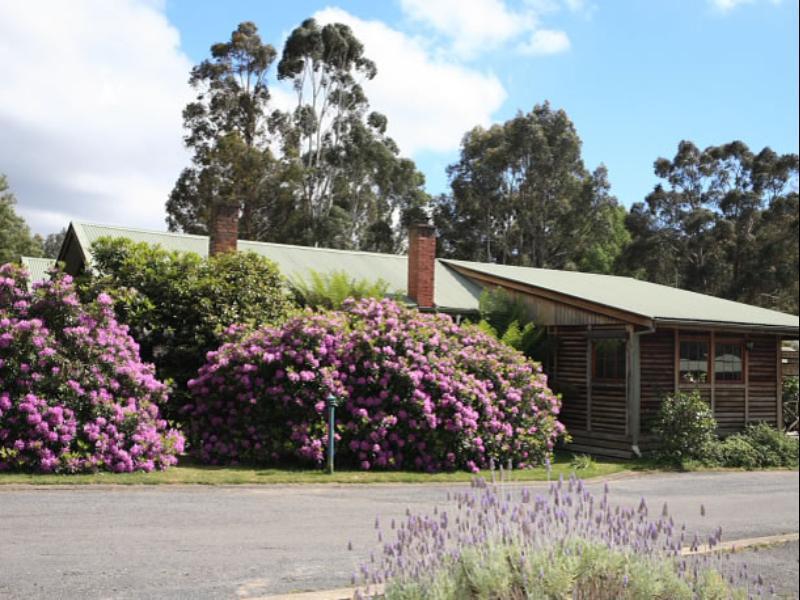 Halls Gap Log Cabins Exterior photo